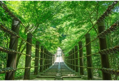 🍁 하나누키 계곡(하나누키케이코쿠) 이미지 2